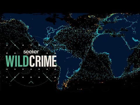 How AI is Tracking Illegal Fishing From Space - YouTube