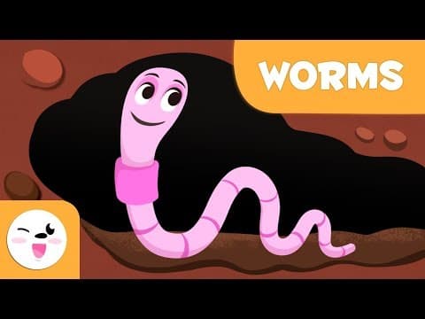 Worms - Invertebrate animals for kids - Natural Science for kids