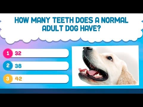 30 questions of general culture - how many will you get right? - gk quiz