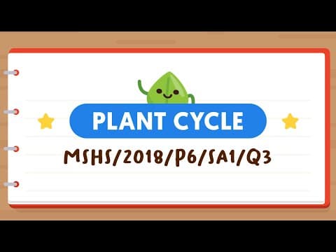 PSLE SCIENCE MADE SIMPLE EP38 | Plant Cycle | Effects Of Removing Food-carrying Tubes