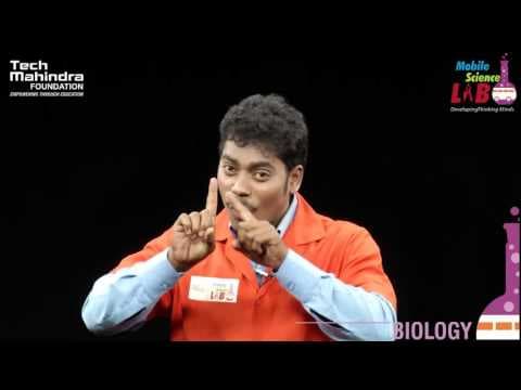 Persistence of Vision (Telugu)