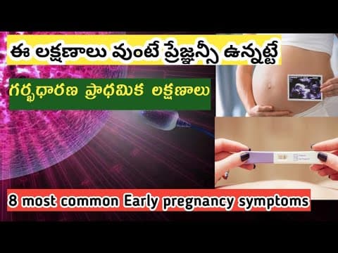 గర్భం యొక్క ప్రారంభ 8 లక్షణాలు/Early pregnancy symptoms in Telugu