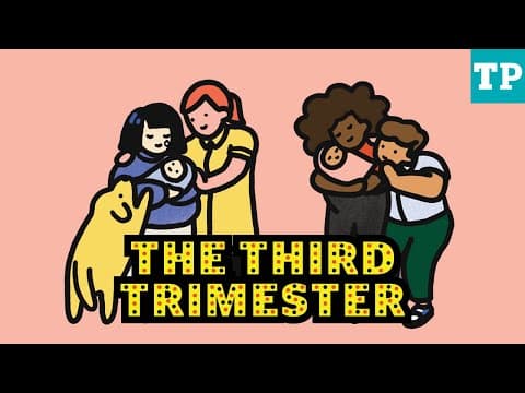 What to expect in your Third Trimester of pregnancy | Pregnancy Week-by-Week
