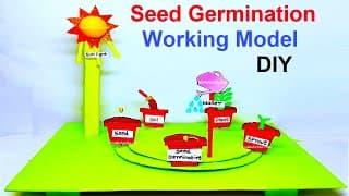 seed germination working model | inspire award science project