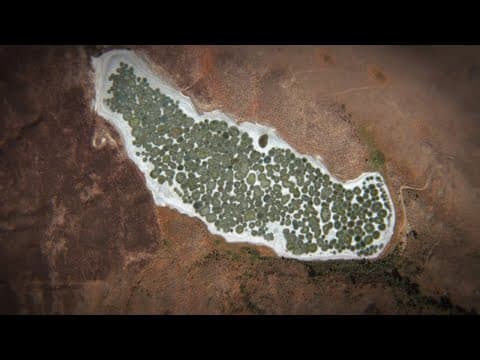 What Is This Martian Lake Doing In Canada