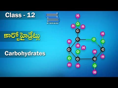 కార్బోహైడ్రేట్లు – Carbohydrates | Biochemistry | Chemistry Telugu