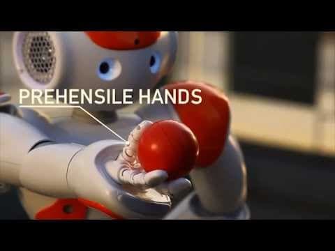 NAO Humanoid Robot