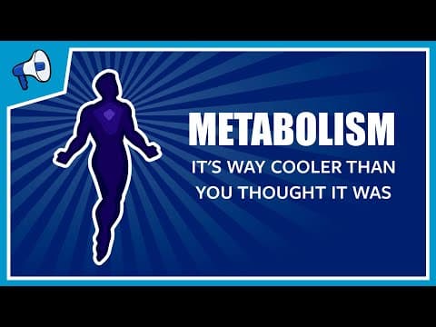 What is Metabolism? - YouTube