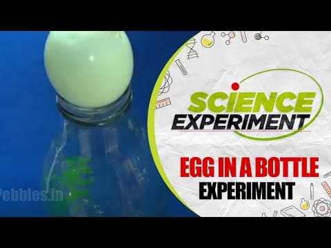 Science Experiment - 64 | Egg in a Bottle Experiment | Chemistry Experiment