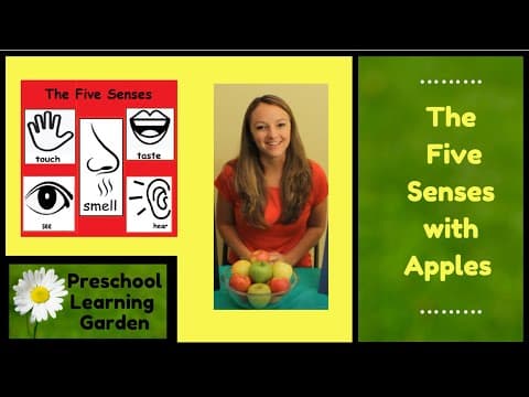 The five senses with apples - the parts of an apple - preschool educational