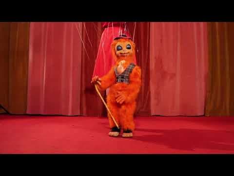 The incredible bendable twistable expandable elephant trunk