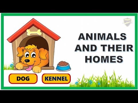 Animal and their homes- Animal and their homes for kids