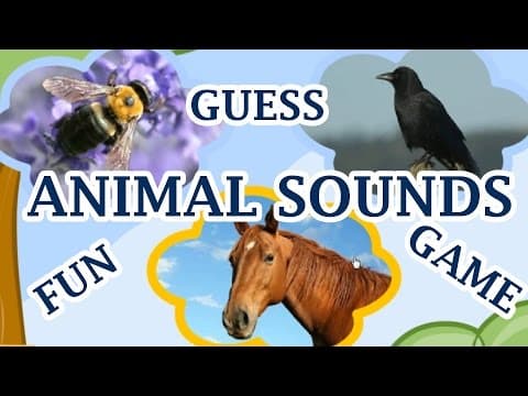 Animal Sounds Guess The Animal By The Sound A Fun Game For Kids