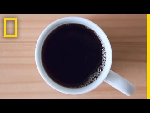 Caffeine 101 | National Geographic