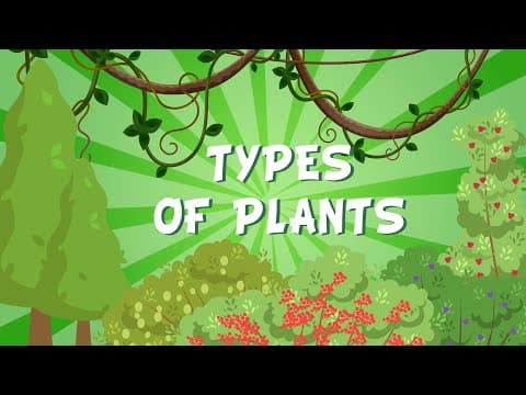 TYPES OF PLANTS | Educational Videos for Kids