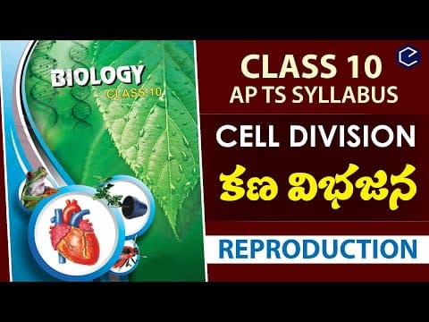 Cell division in Telugu & english