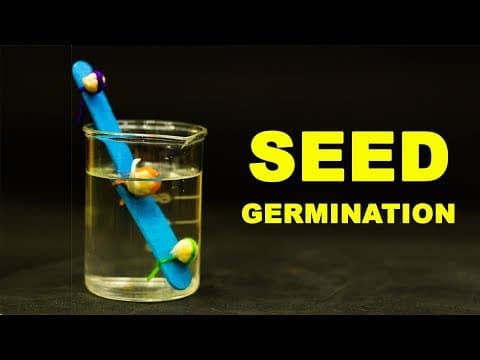 5th Grade Science Projects Germination