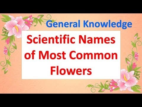 Scientific Names Of Most Common Flowers