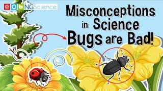 Misconceptions in Science – Bugs are Bad!
