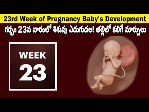 23rd Week of Pregnancy Symptoms, Changes & Baby Development | 23rd Week of Pregnancy in telugu