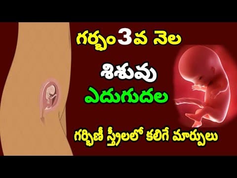 3rd Month of Pregnancy Baby Growth & Mother Care | Pregnancy 3rd Month Symptoms | 1st Trimester