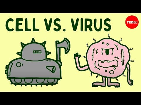 Cell vs. virus: A battle for health