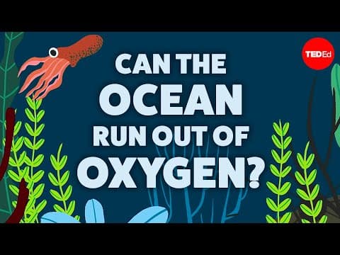 Can the ocean run out of oxygen? - Kate Slabosky