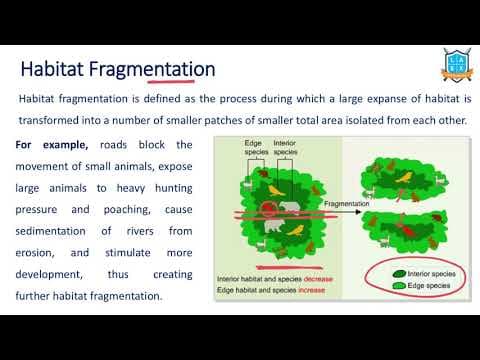 What is Habitat Fragmentation ? || Habitat Fragmentation అంటే ఏమిటి?