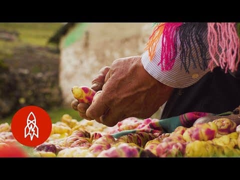 The farmer growing 400 different kinds of potatoes