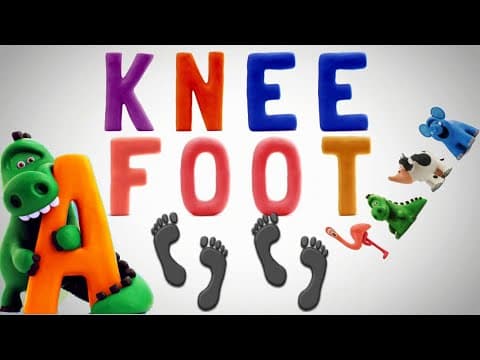 Talking Part of the body Volume 2 - Talking ABC