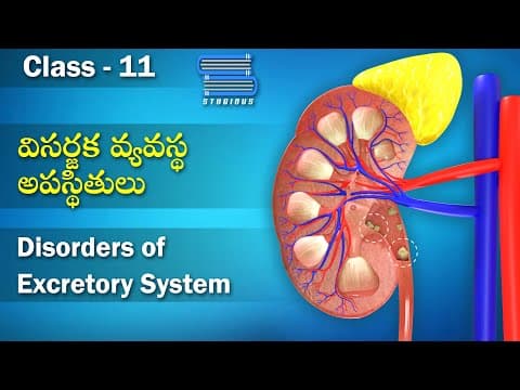 విసర్జక వ్యవస్థ అపస్థితులు – Disorders of Excretory System | Biology Telugu