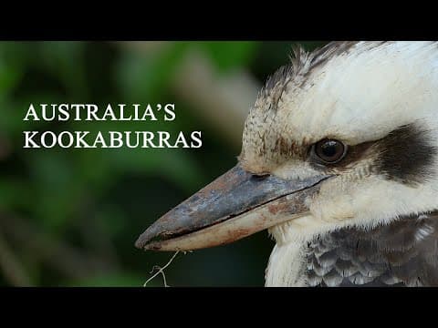 Ice Age mummies frozen in Arctic ice and permafrost