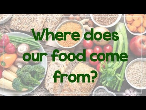 Where Does Your Food Come From