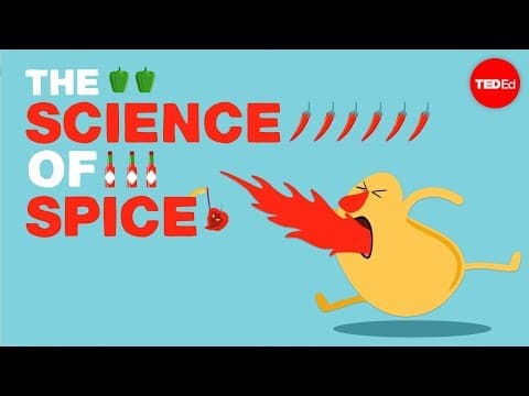 The science of spiciness - Rose Eveleth - YouTube
