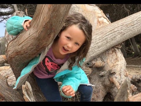 Learn English Words Tree playground