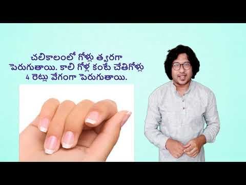 Interesting Facts - Episode - 1/4 - Season - 1