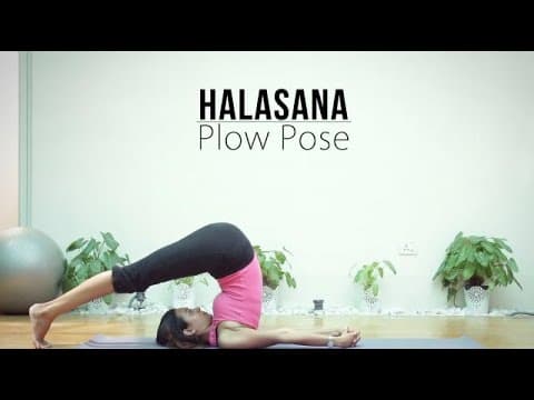 How to do Halasana - Plow Pose