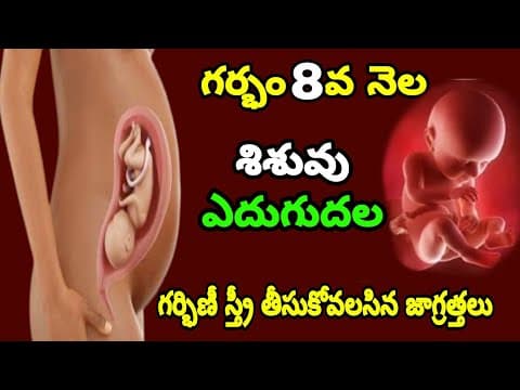 8th Month of Pregnancy Baby Growth & Mother Care | Pregnancy 8th Month Symptoms | 3rd Trimester