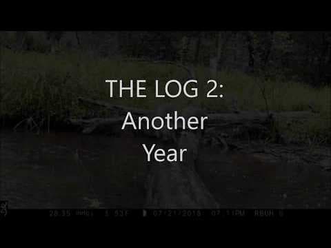 Volcano Filter Betta Aquarium