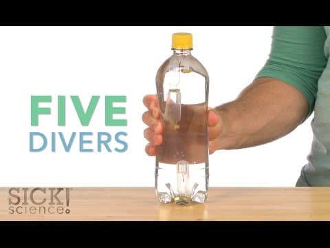 Five Divers - Sick Science! #200