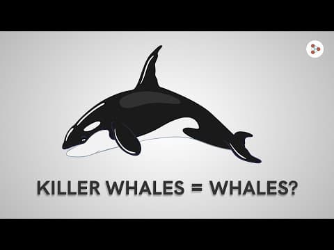 Killer whales = whales?