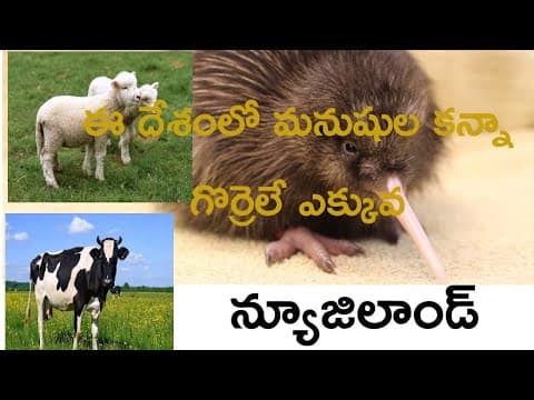 New Zealand (Telugu)
