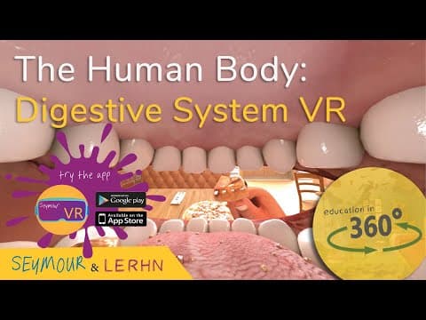 Human Digestive System in VR!!! | Education in 360
