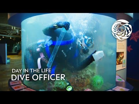 A Day in the Life of a Dive Officer at the Monterey Bay Aquarium
