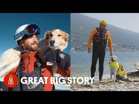 5 tails of heroic dogs saving lives and sniffing out crime