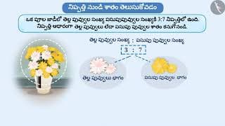 శాతాలు, భిన్నాలు మరియు దశాంశాలు|Part 2/4|Percentages, Fractions and Decimals