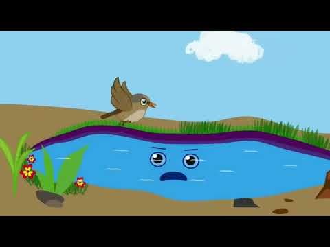 Hungry bird | Moral story | panchatantra ki Kahaniya | Hindi Kahaniya | dadi maa ki katha kahani