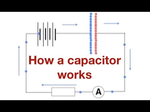 How a capacitor works: from fizzics.org - YouTube