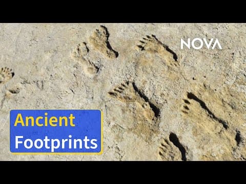 Humans May Have Lived in North America Earlier Than Thought - YouTube