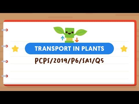 PSLE SCIENCE MADE SIMPLE EP103 | Transport In Plants | Food-Carrying VS Water-Carrying Tubes